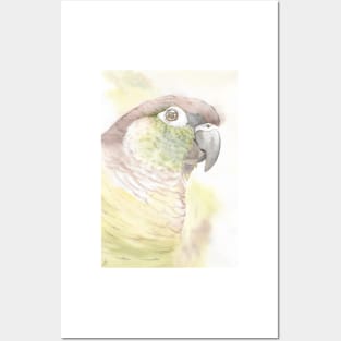 Green-cheeked parakeet watercolor portrait bird parrot Posters and Art